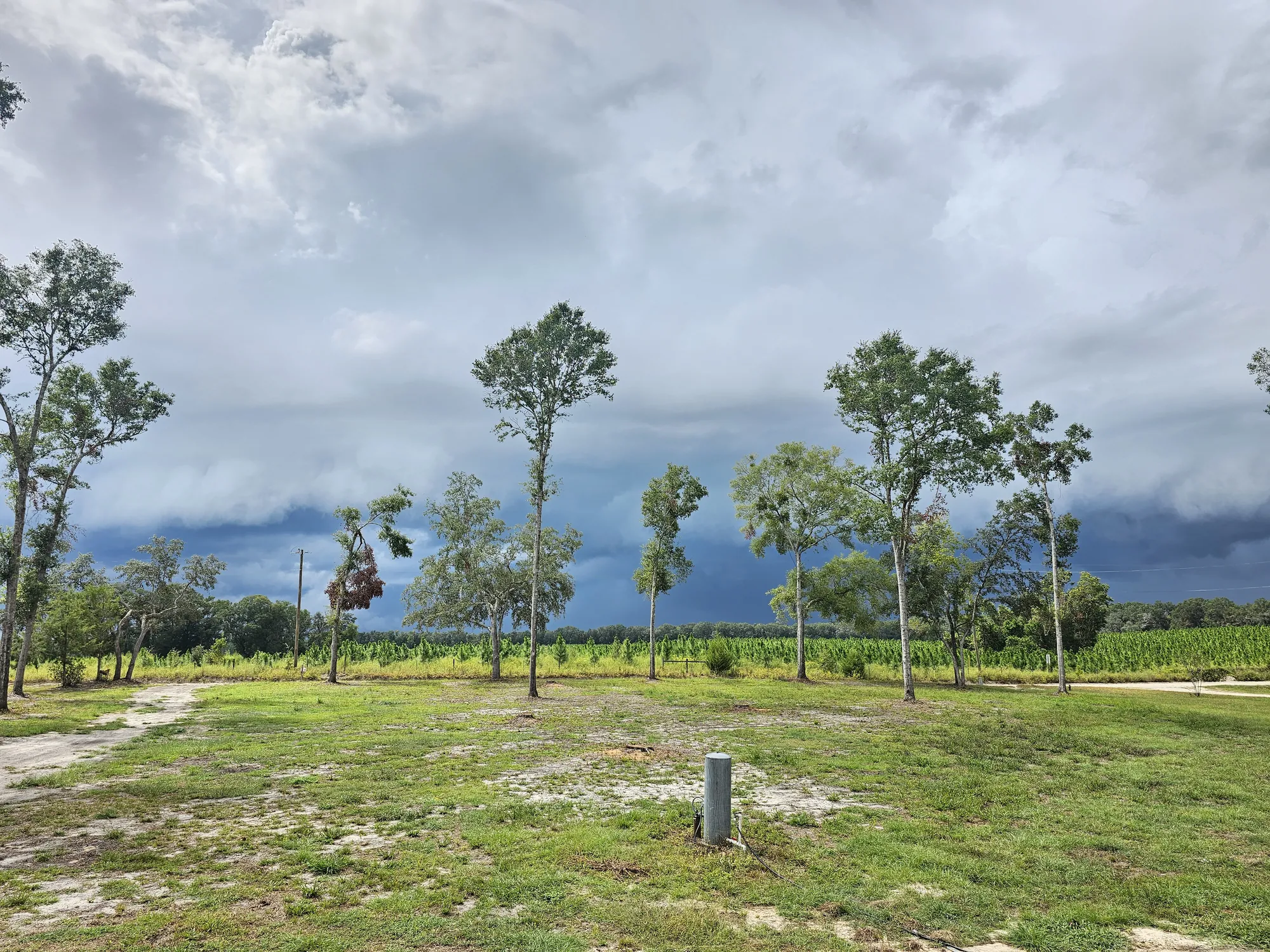 Cleared homesite with selective trees preserved under dramatic Florida sky