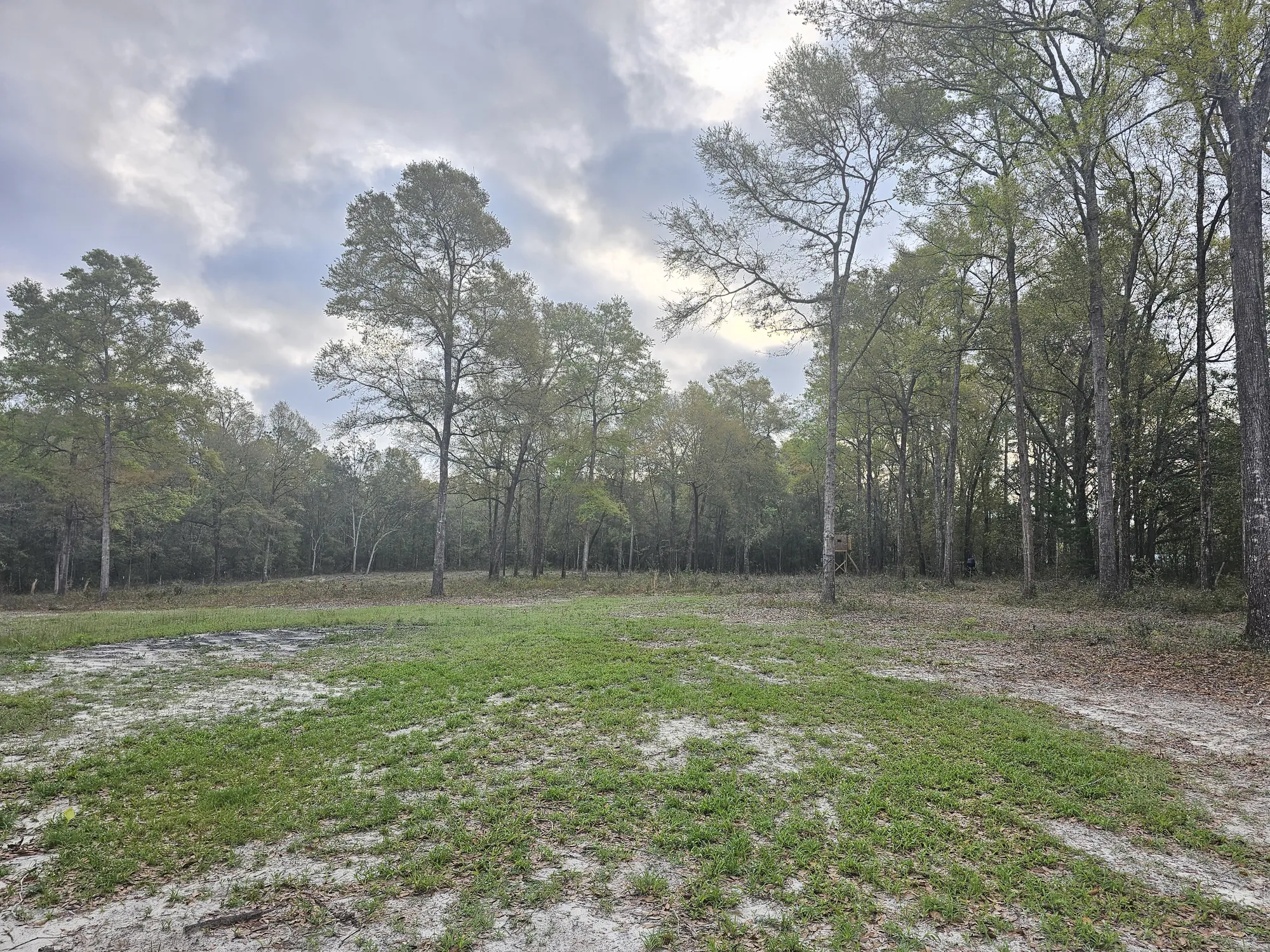 Cleared and graded rural homesite with mature trees preserved