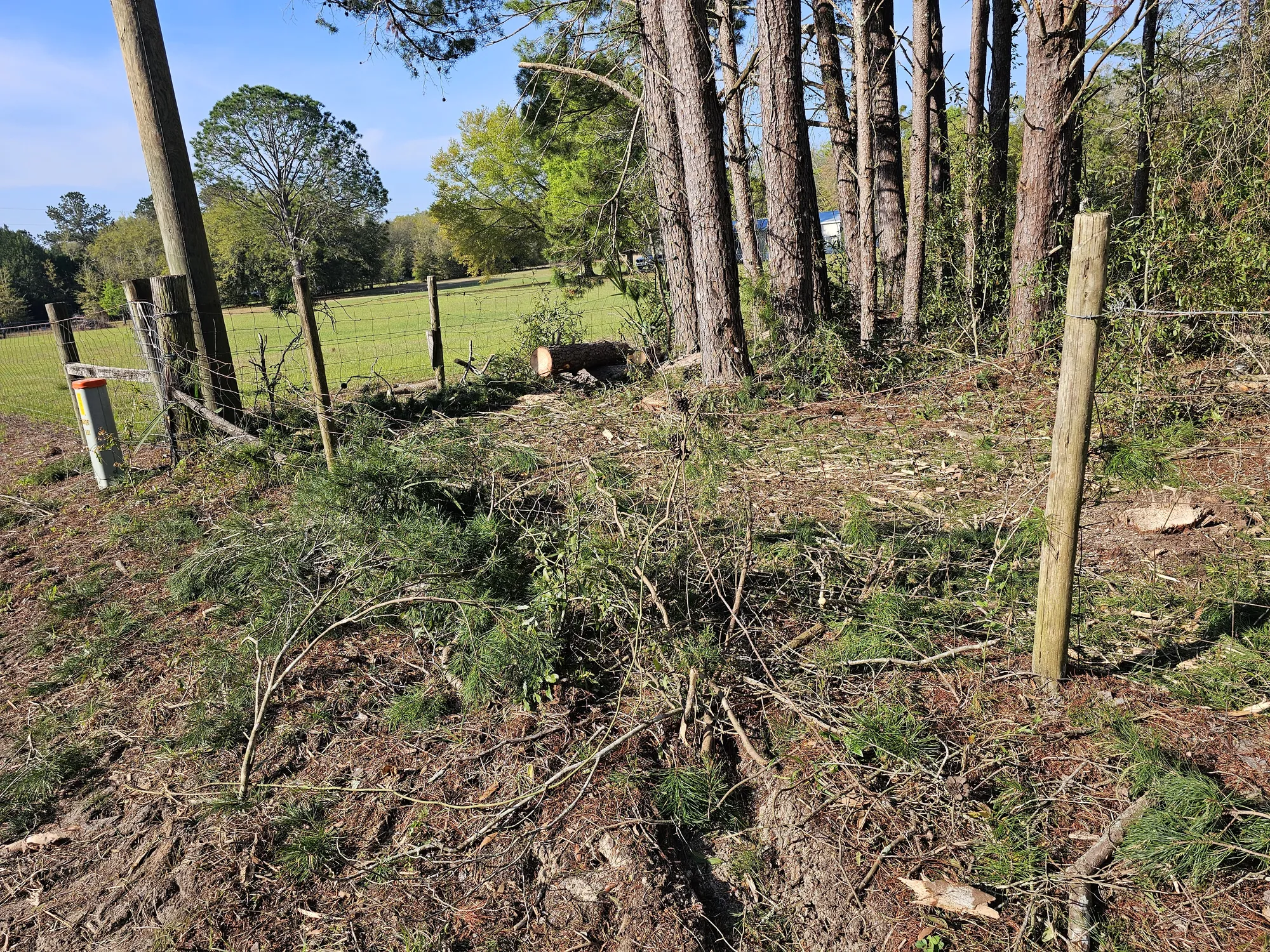 Brush and small trees being cleared along a Florida property fence line