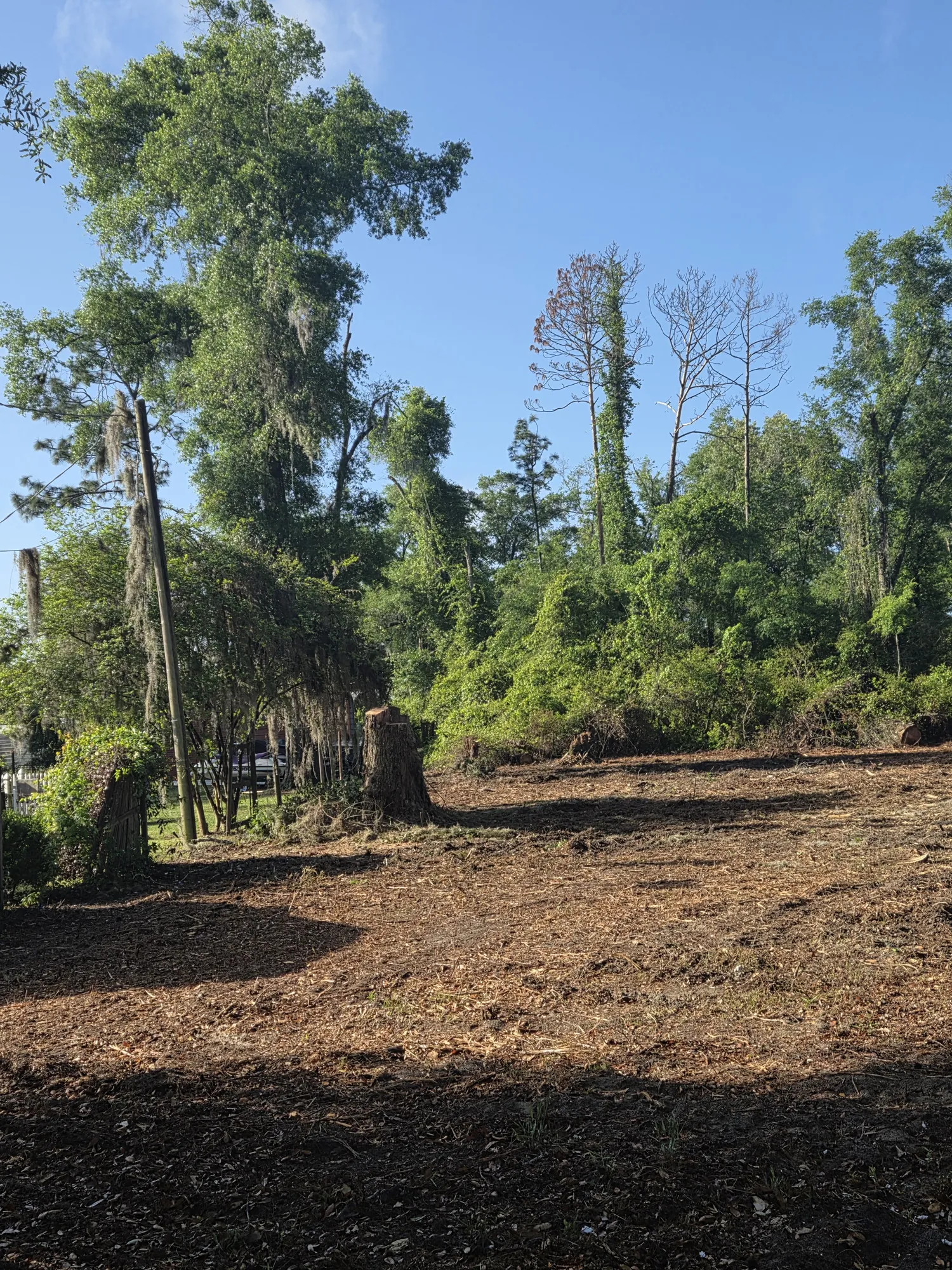 Property with stumps and brush partially cleared, revealing usable ground
