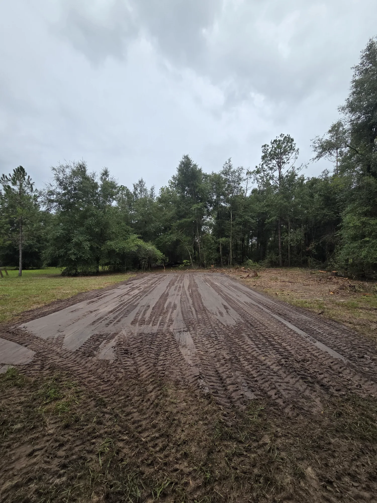 Dirt driveway and pad cut into a wooded North Florida lot
