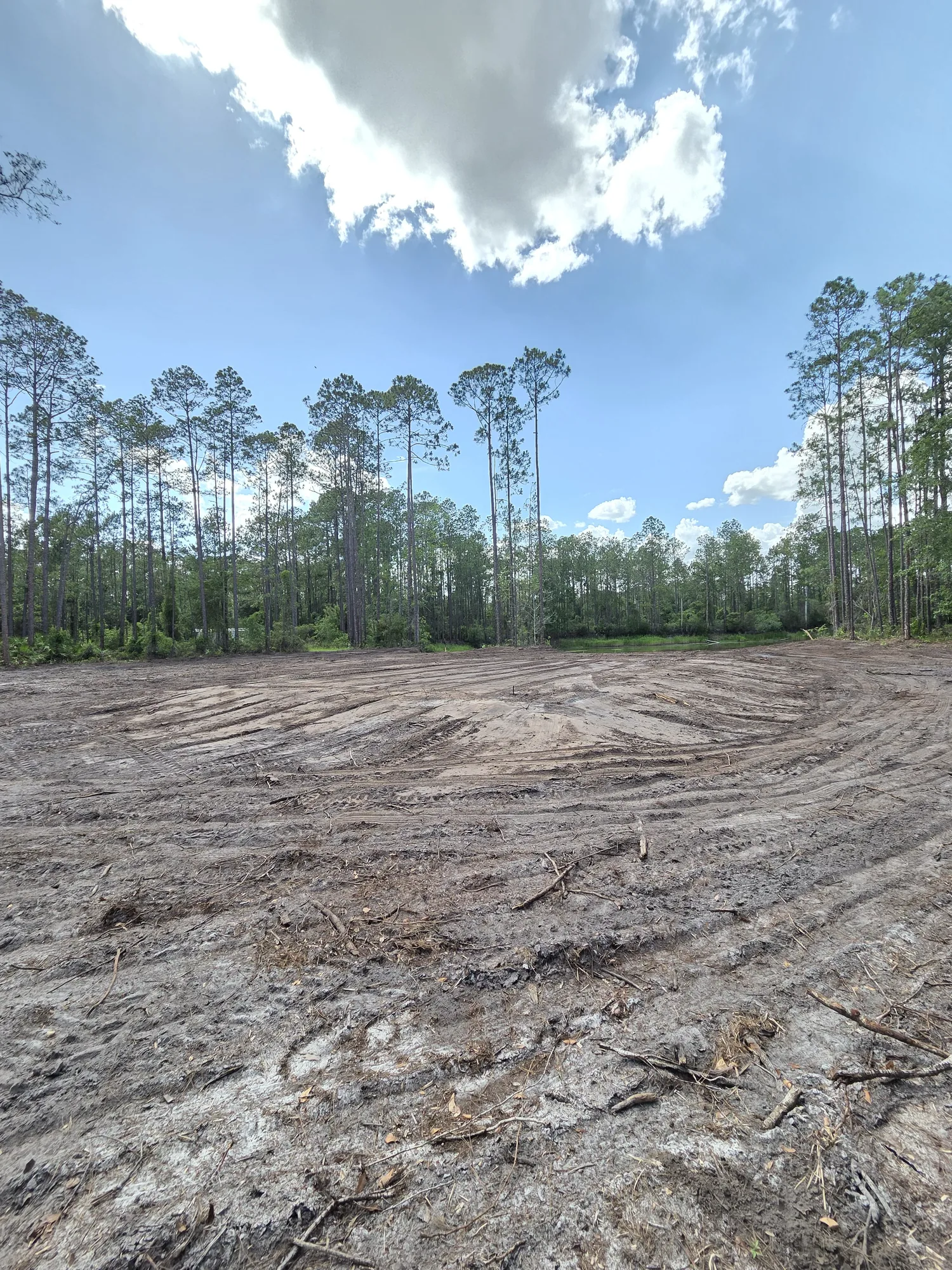 Large area cleared and grubbed inside a North Florida pine stand