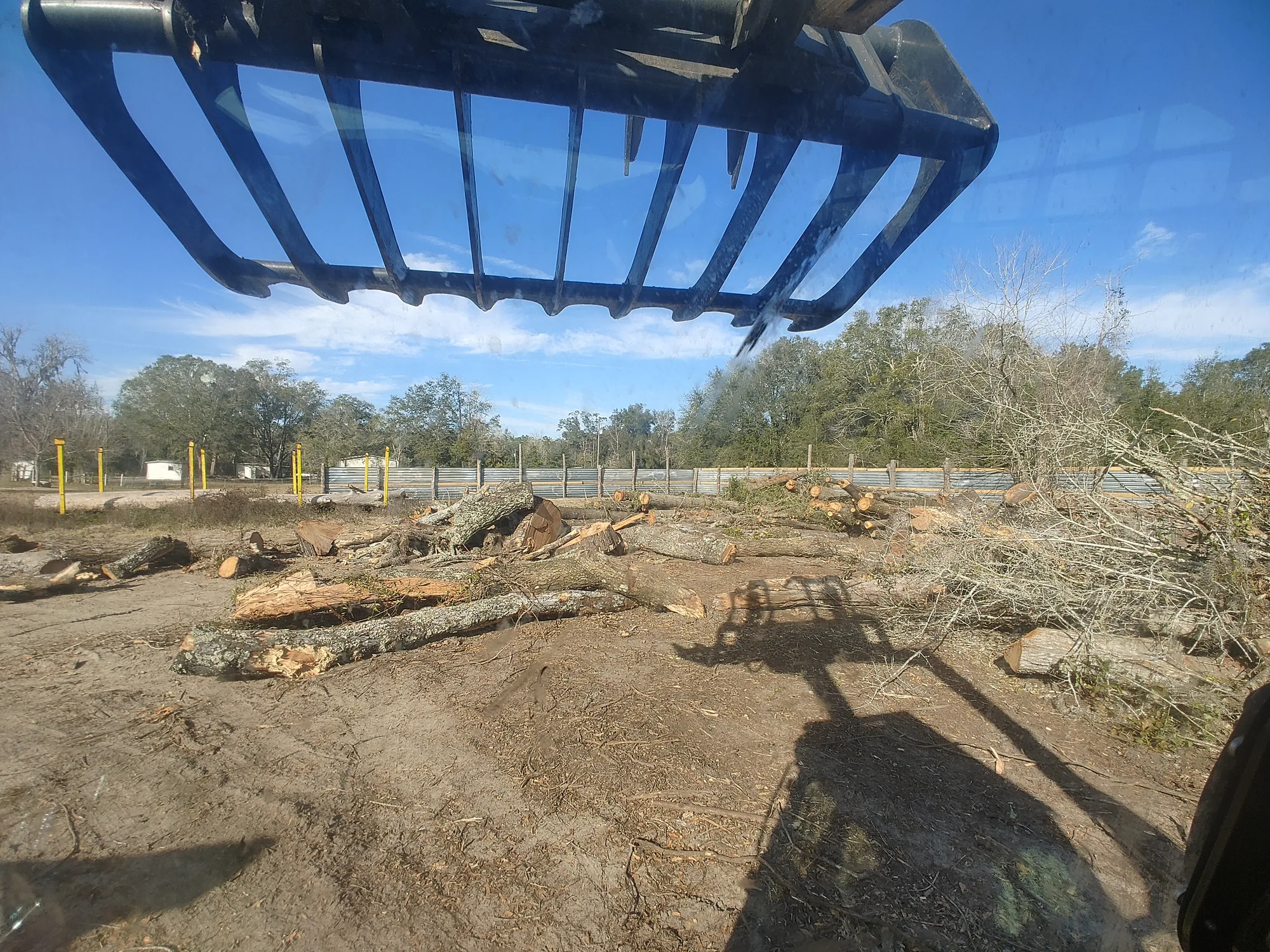 Tree Removal by Sunshine Site Prep on a North Florida property