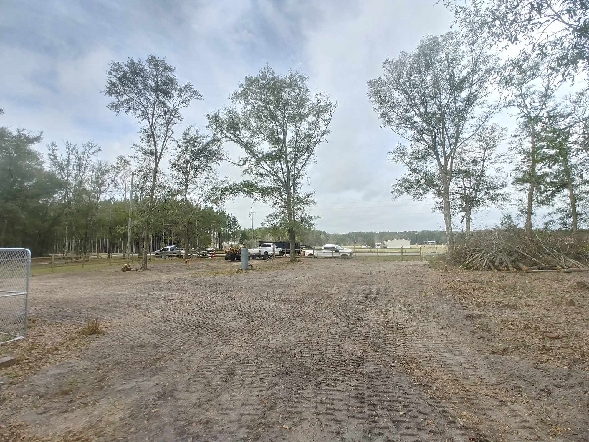 Debris Removal by Sunshine Site Prep on a North Florida property
