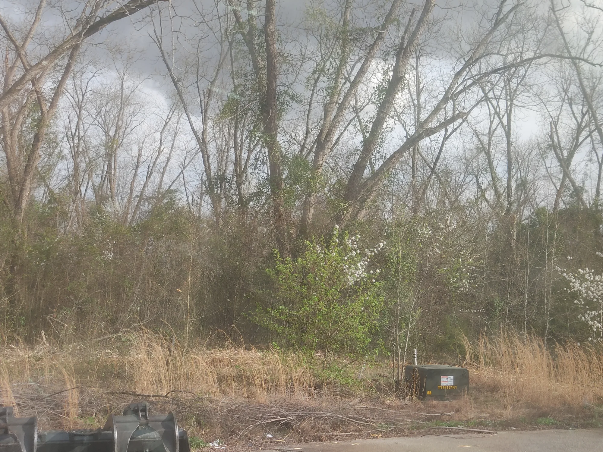 Crane Tree Removal by Sunshine Site Prep on a North Florida property