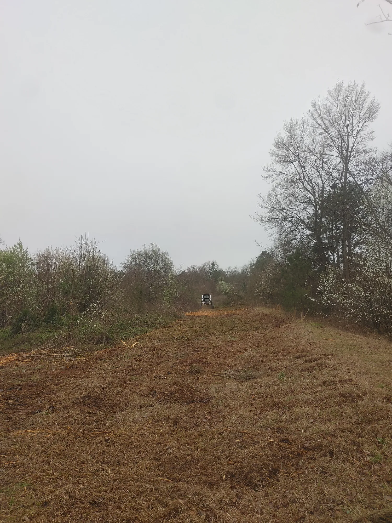 Fallen Tree Cleanup by Sunshine Site Prep on a North Florida property