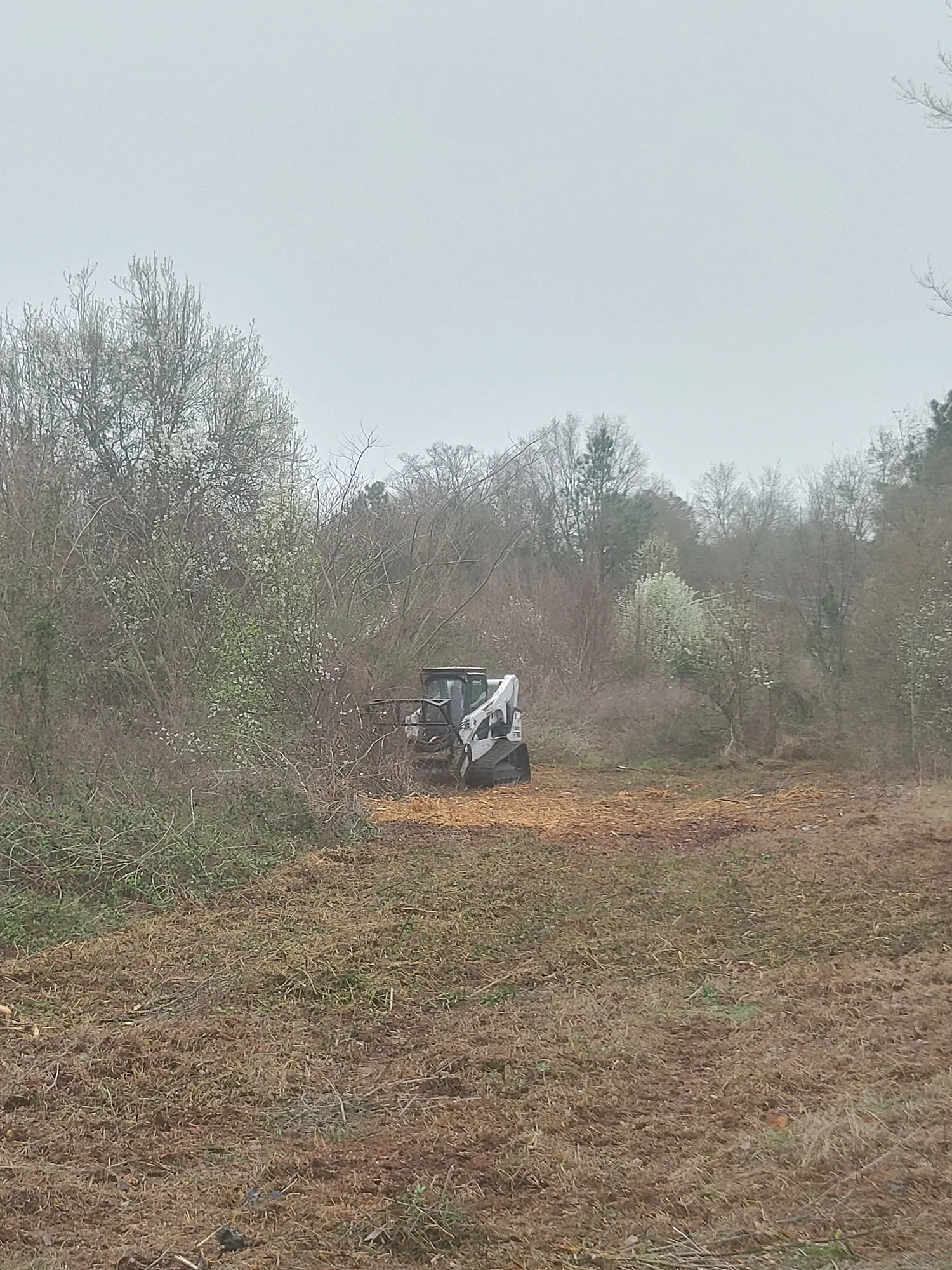 Lot Cleanup by Sunshine Site Prep on a North Florida property