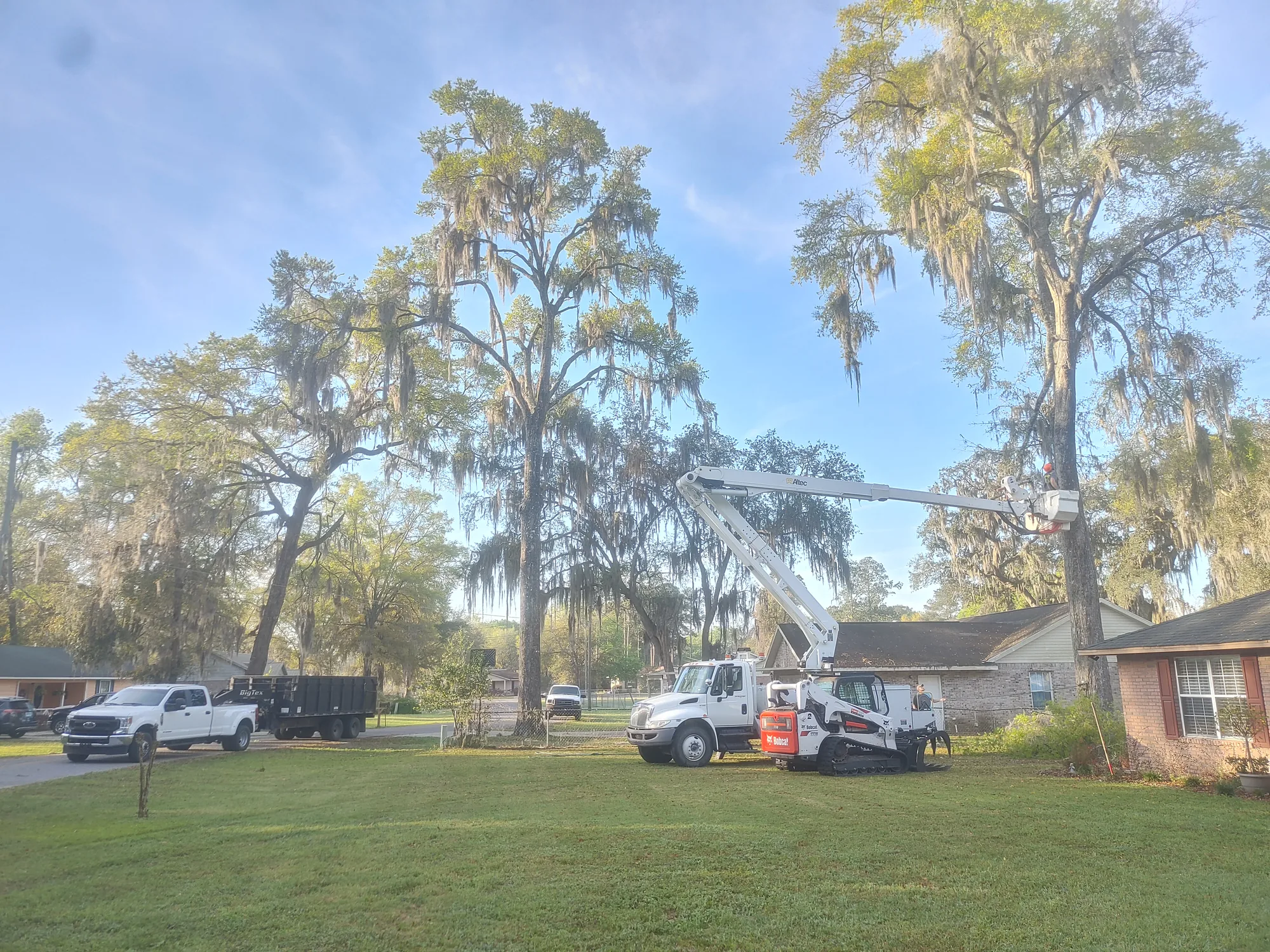 Storm Cleanup by Sunshine Site Prep on a North Florida property