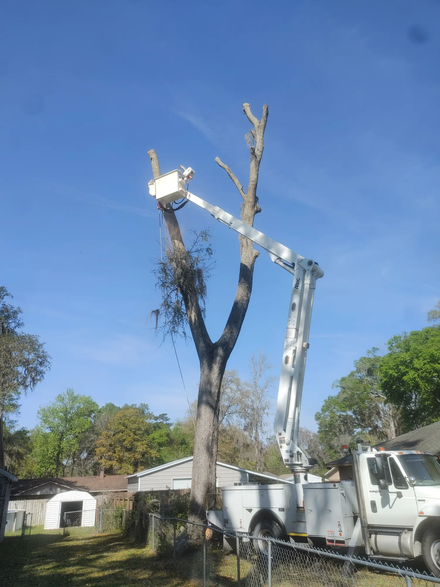 Tree & Storm Cleanup by Sunshine Site Prep on a North Florida property