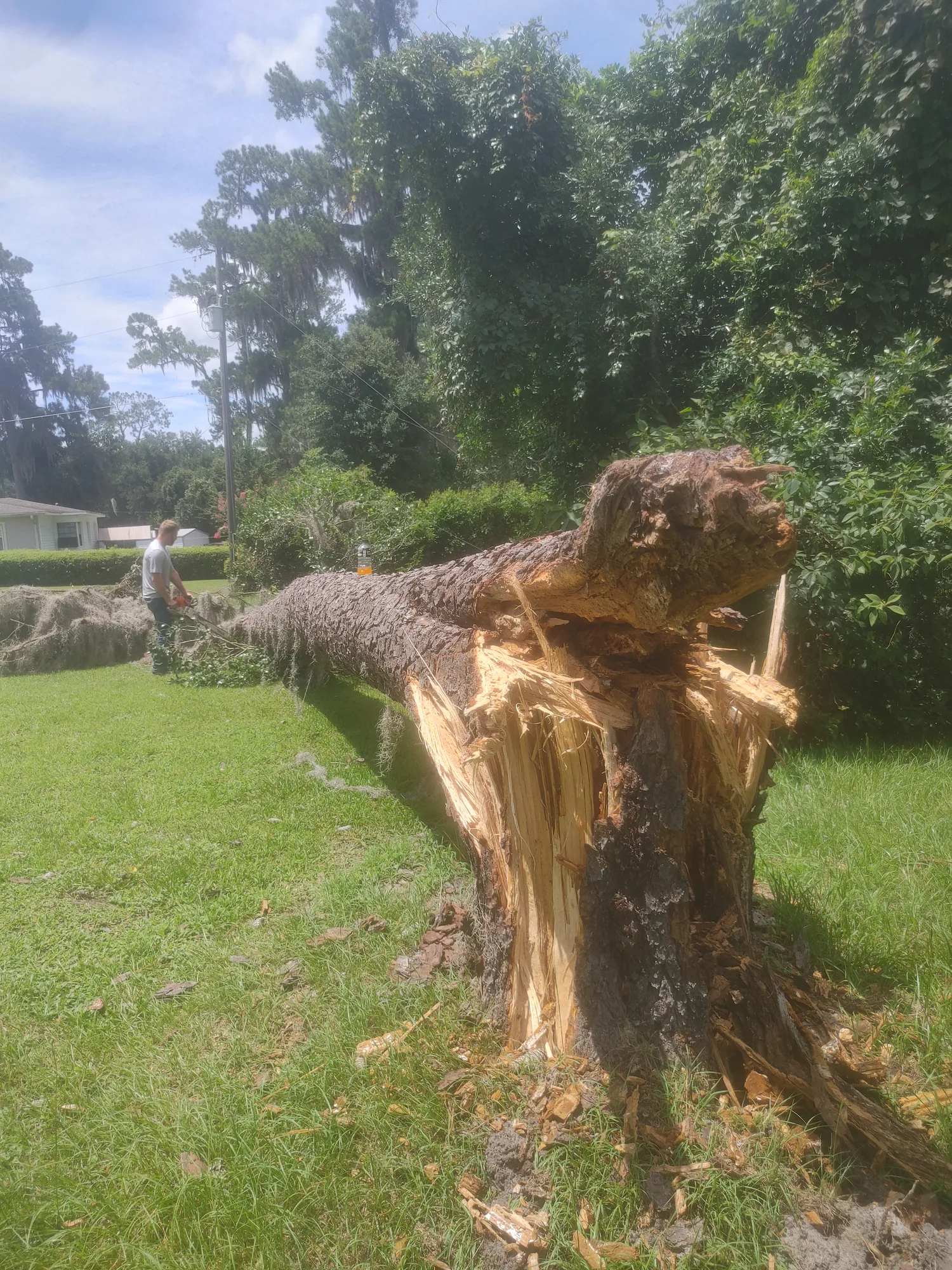 Storm Cleanup by Sunshine Site Prep on a North Florida property