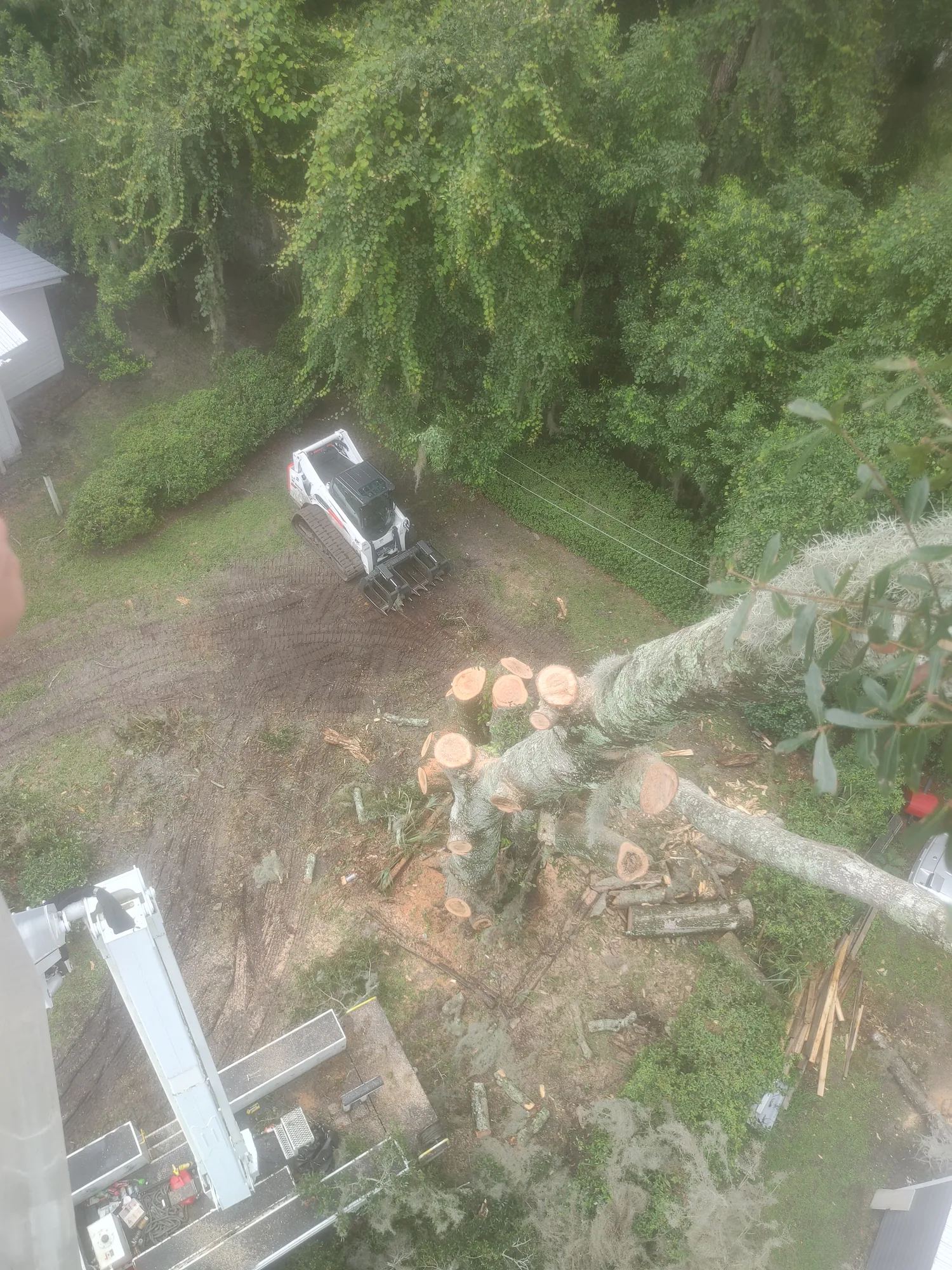 Hazardous Tree Removal by Sunshine Site Prep on a North Florida property