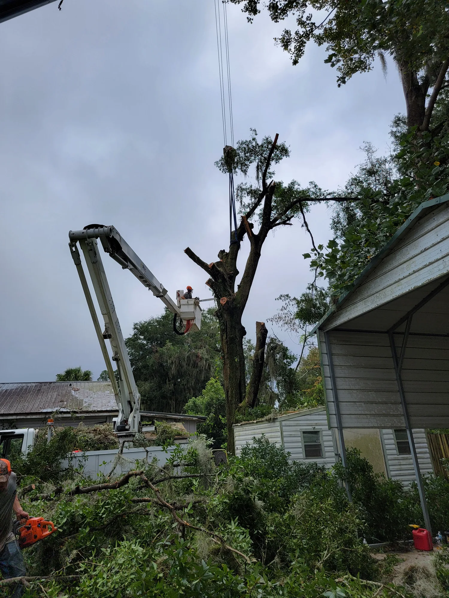 Storm Cleanup by Sunshine Site Prep on a North Florida property