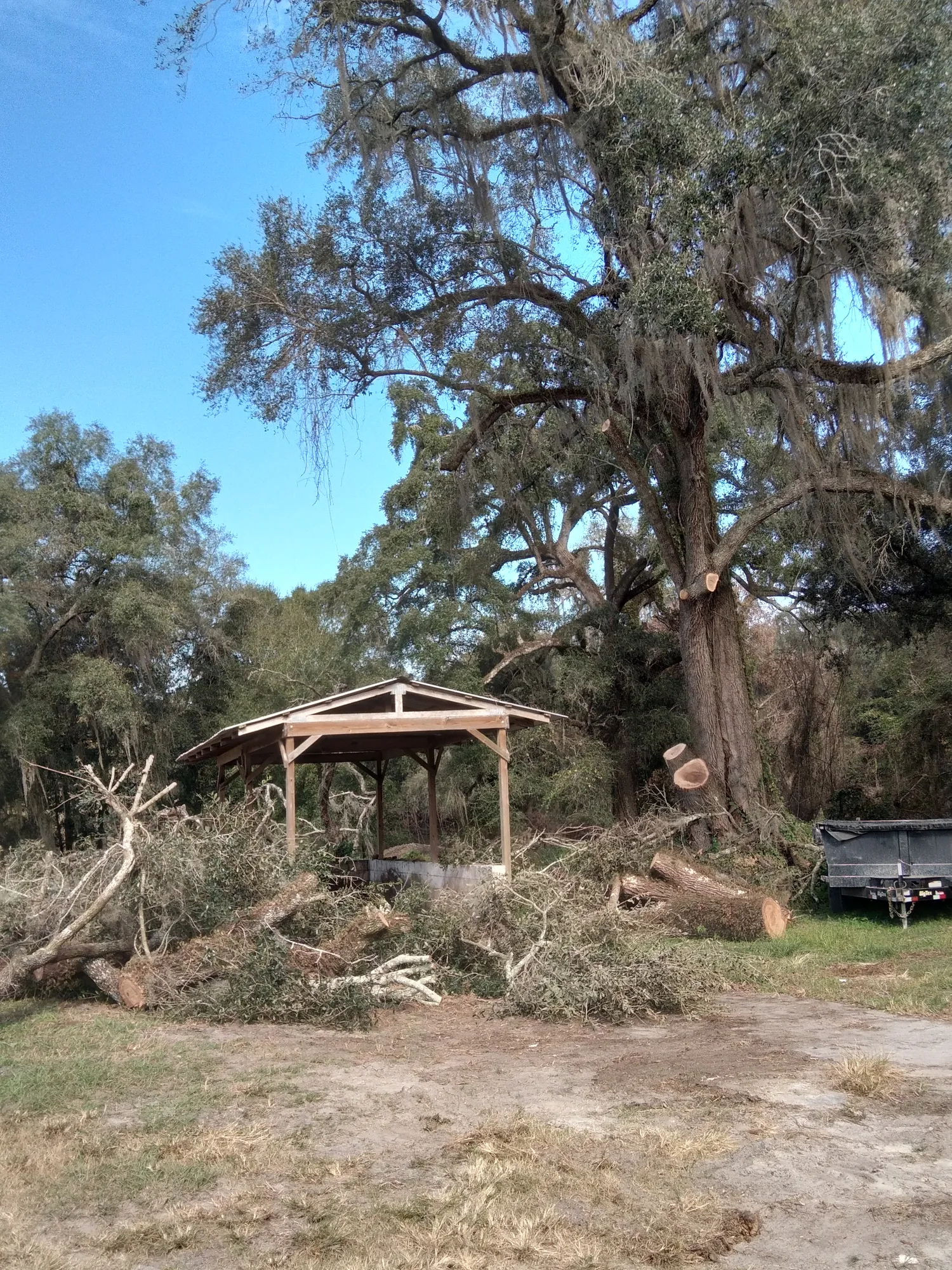 Hazardous Tree Removal by Sunshine Site Prep on a North Florida property