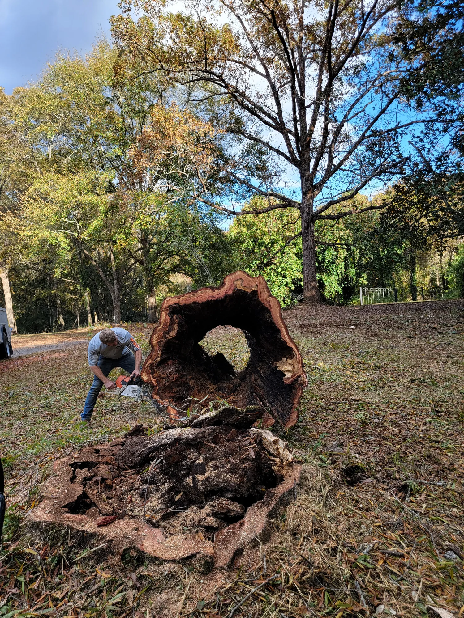 Debris Removal by Sunshine Site Prep on a North Florida property
