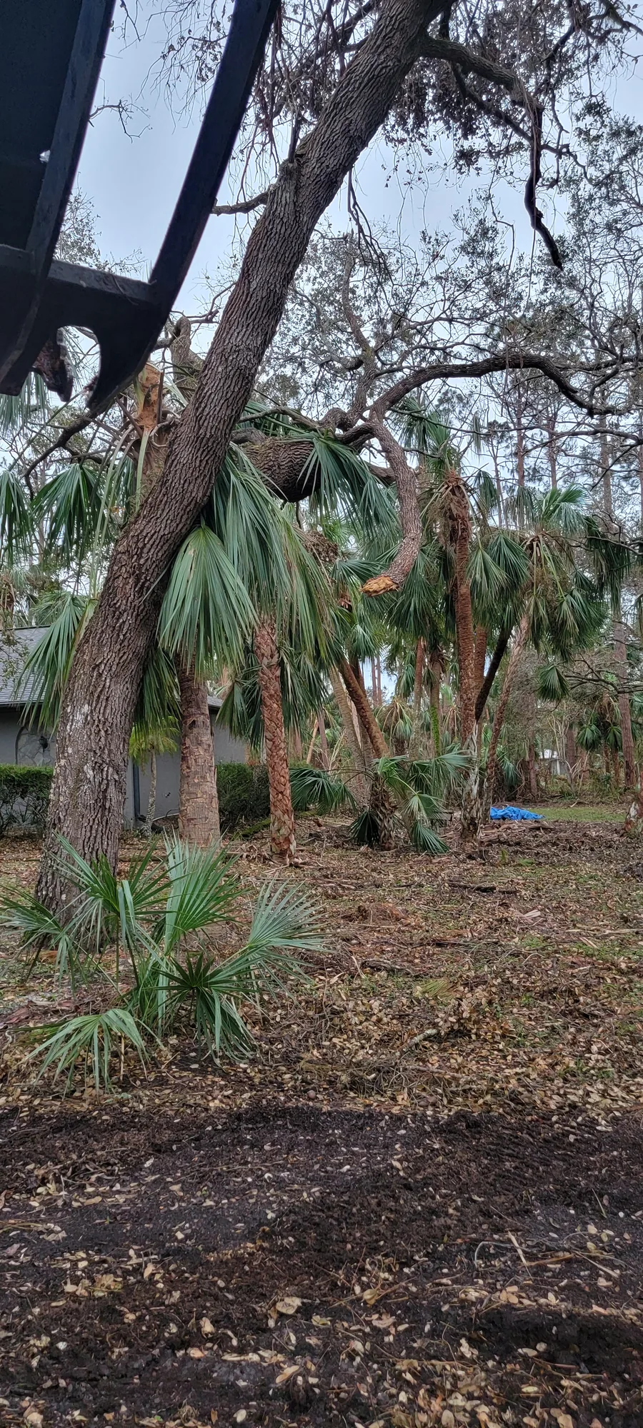 Tree & Storm Cleanup by Sunshine Site Prep on a North Florida property