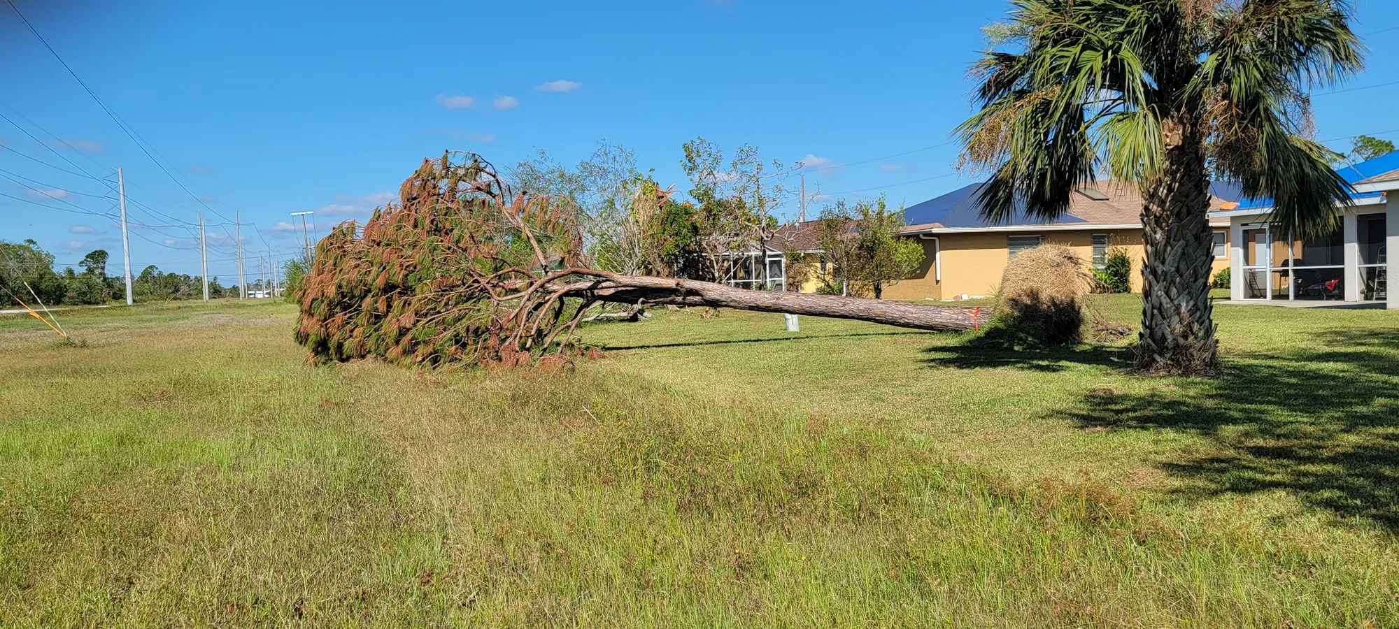 Lot Cleanup by Sunshine Site Prep on a North Florida property