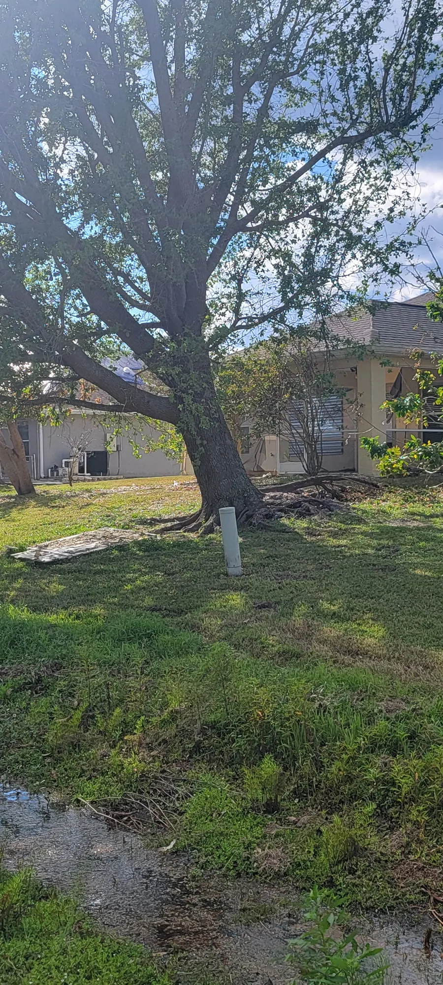 Tree Removal by Sunshine Site Prep on a North Florida property