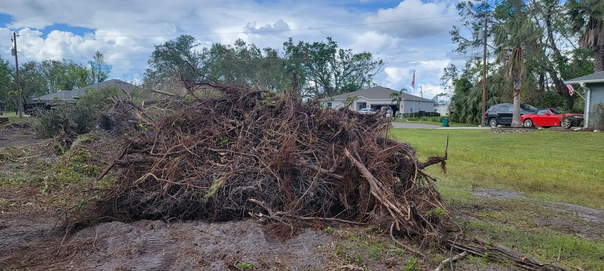 Storm Cleanup by Sunshine Site Prep on a North Florida property