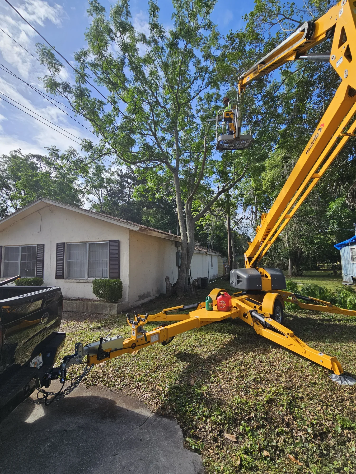 Hazardous Tree Removal by Sunshine Site Prep on a North Florida property