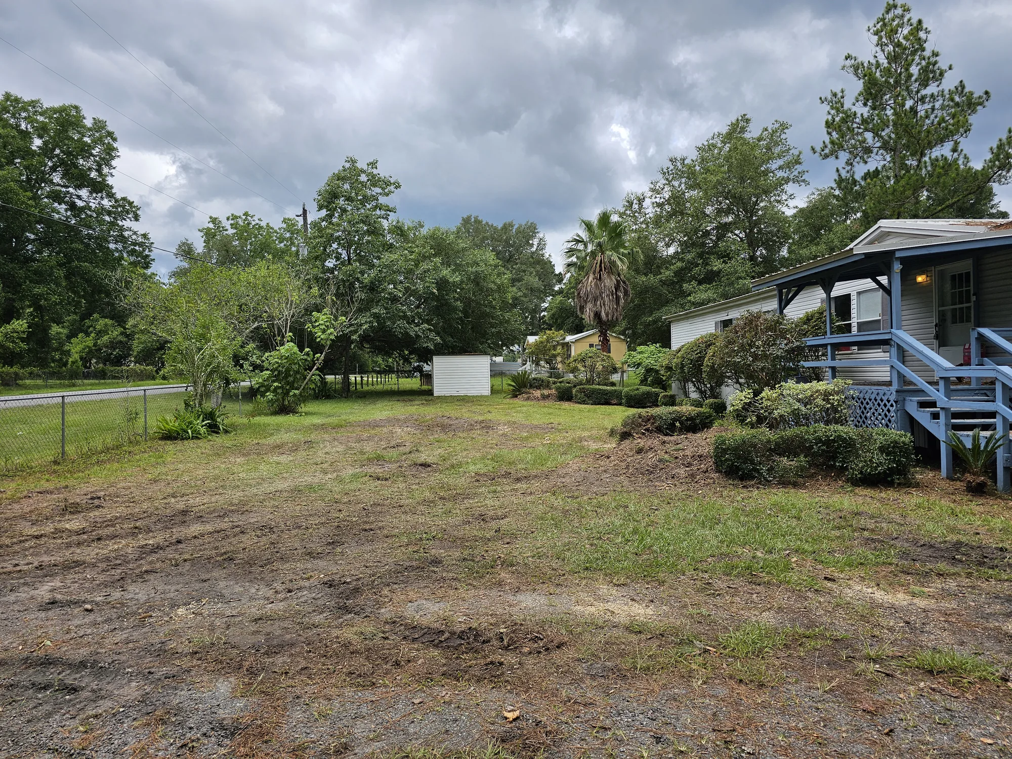 Crane Tree Removal by Sunshine Site Prep on a North Florida property