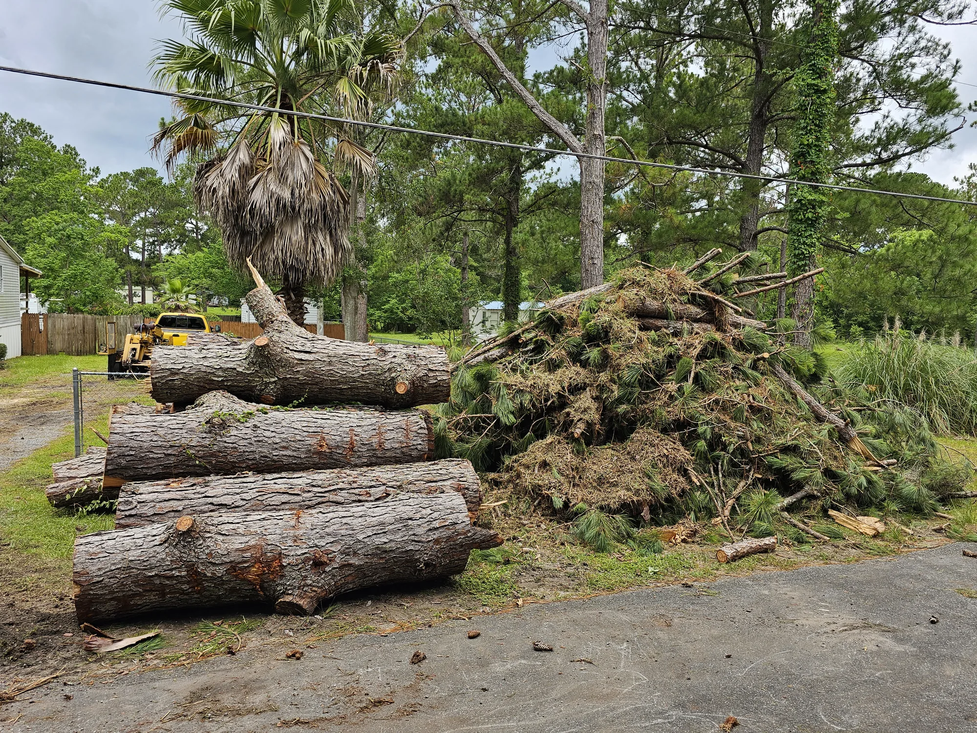 Fallen Tree Cleanup by Sunshine Site Prep on a North Florida property