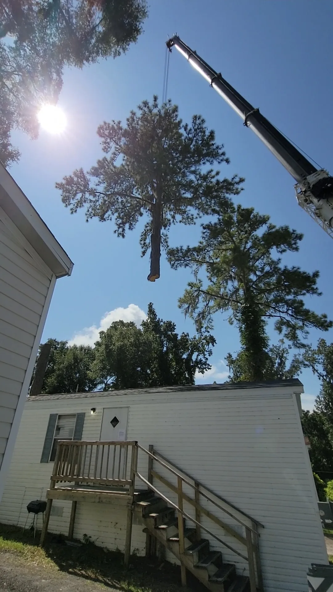 Tree Removal by Sunshine Site Prep on a North Florida property