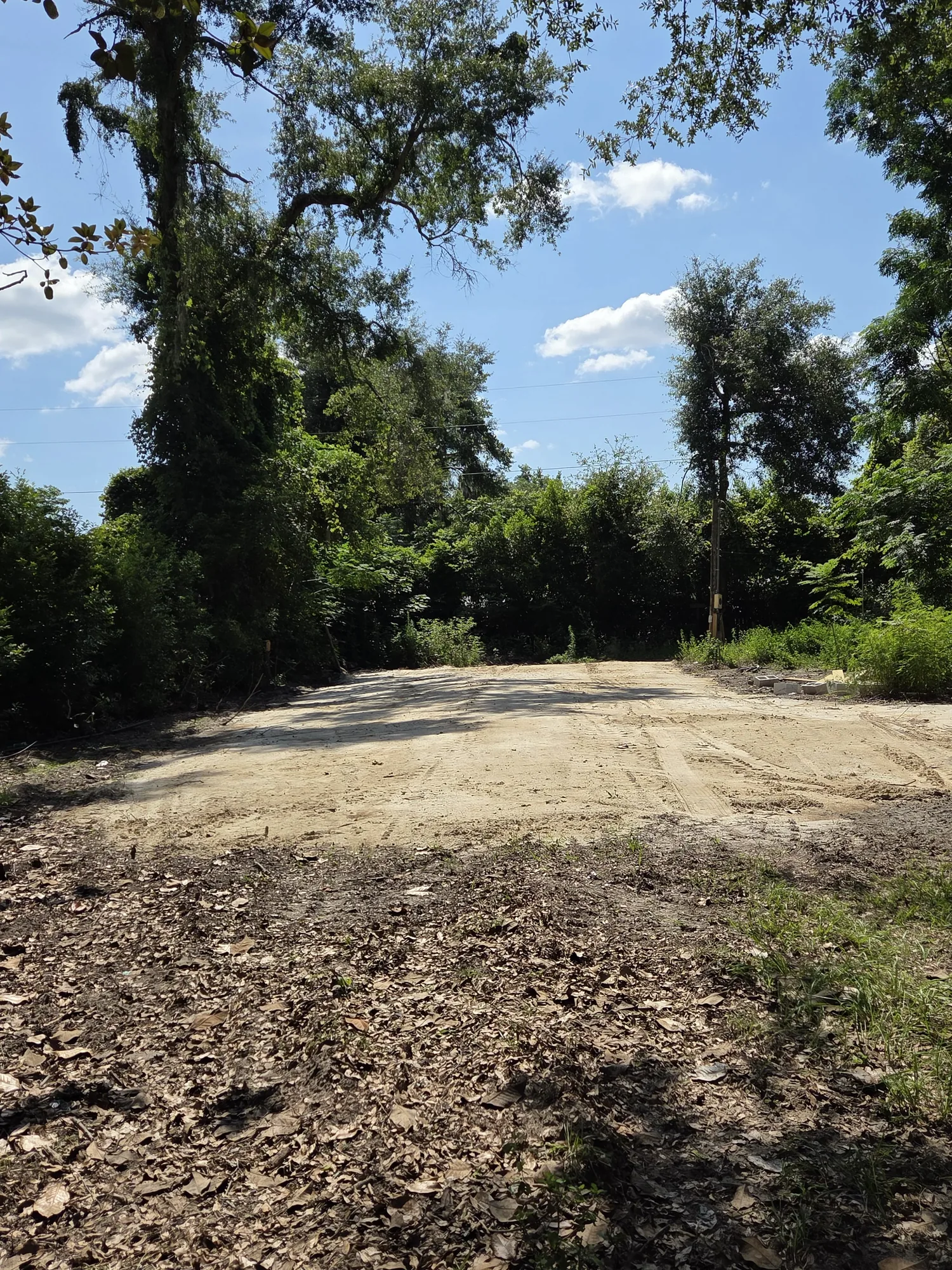 Cleared access drive running back into a shaded wooded lot in North Florida